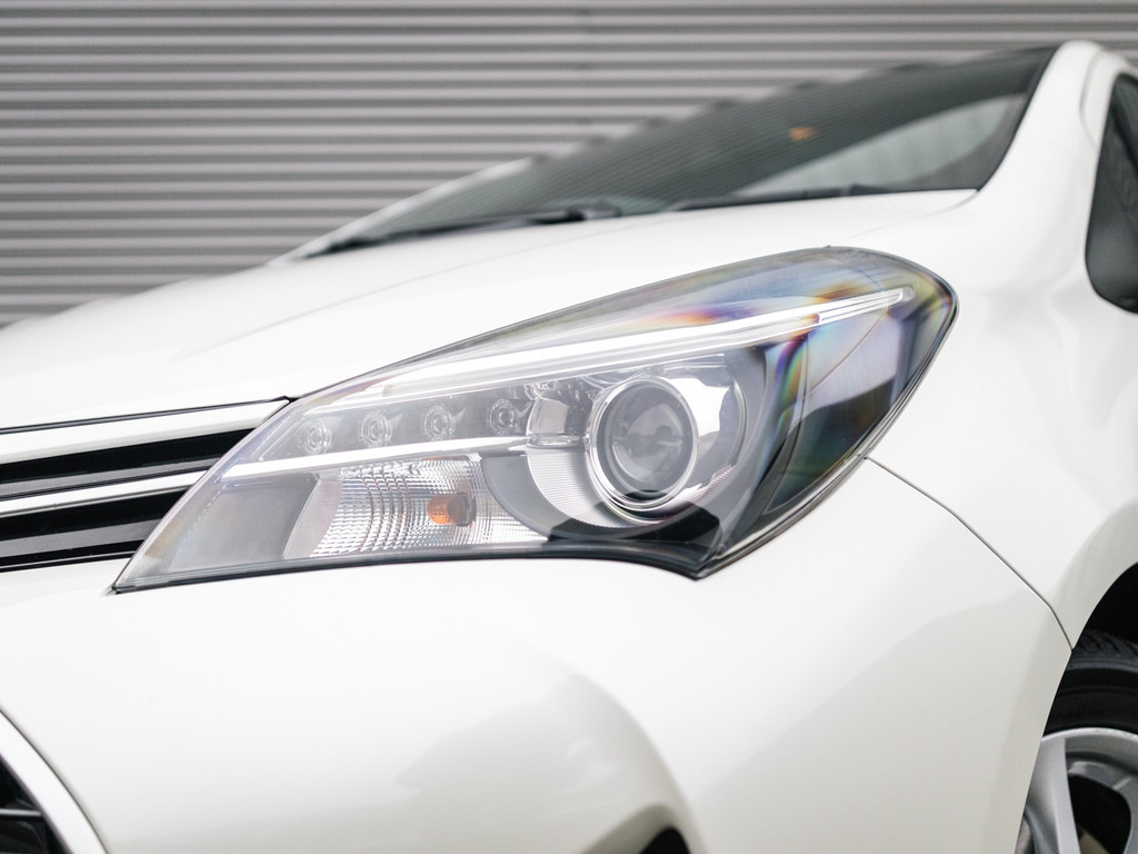 50957135-2.jpg